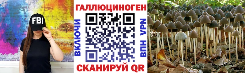 Галлюциногенные грибы Magic Shrooms  Талдом 