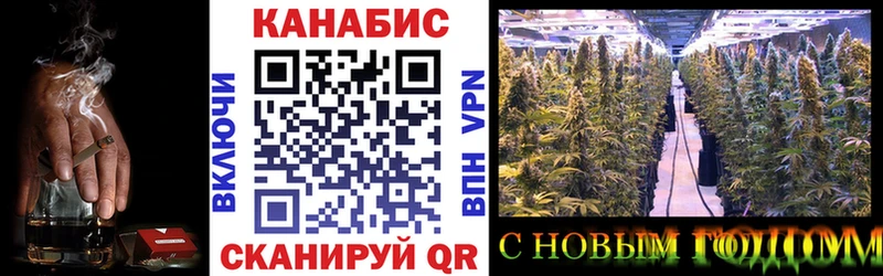 kraken вход Талдом Бошки марихуана сатива